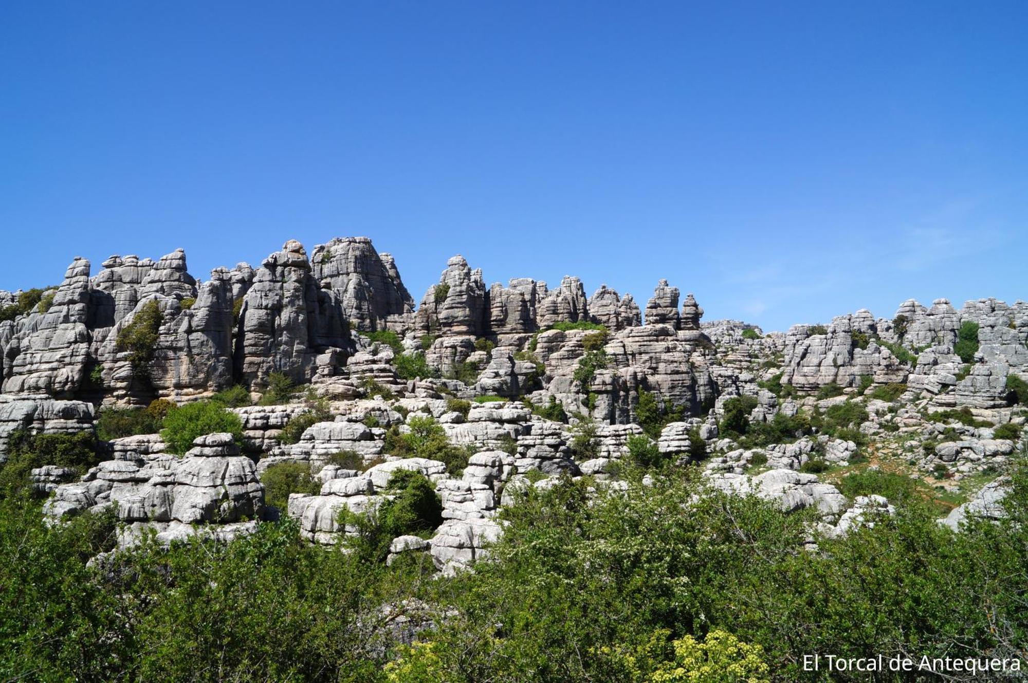 Casa Del Burro Perezoso Villa Almachar ภายนอก รูปภาพ